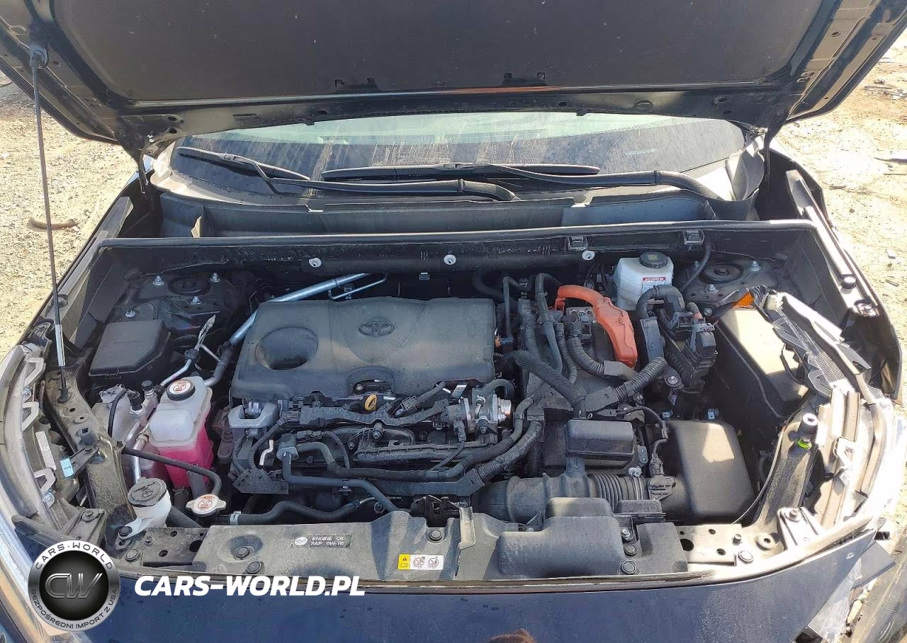 2022 Toyota Rav4 Xle VIN:4T3RWRFV0NU065981 - 12