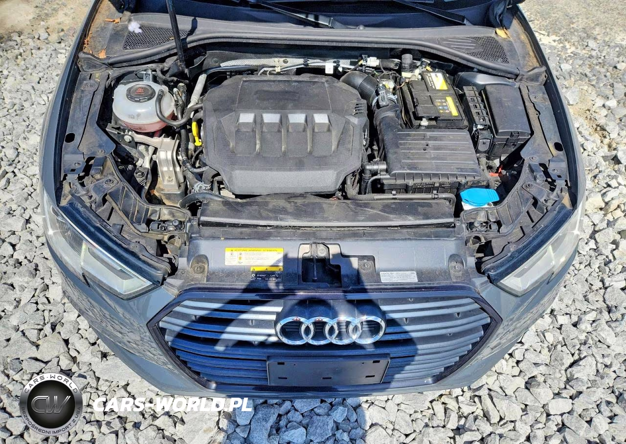 2020 Audi A3 Premium VIN:WAUAUGFF5LA001198 - 11