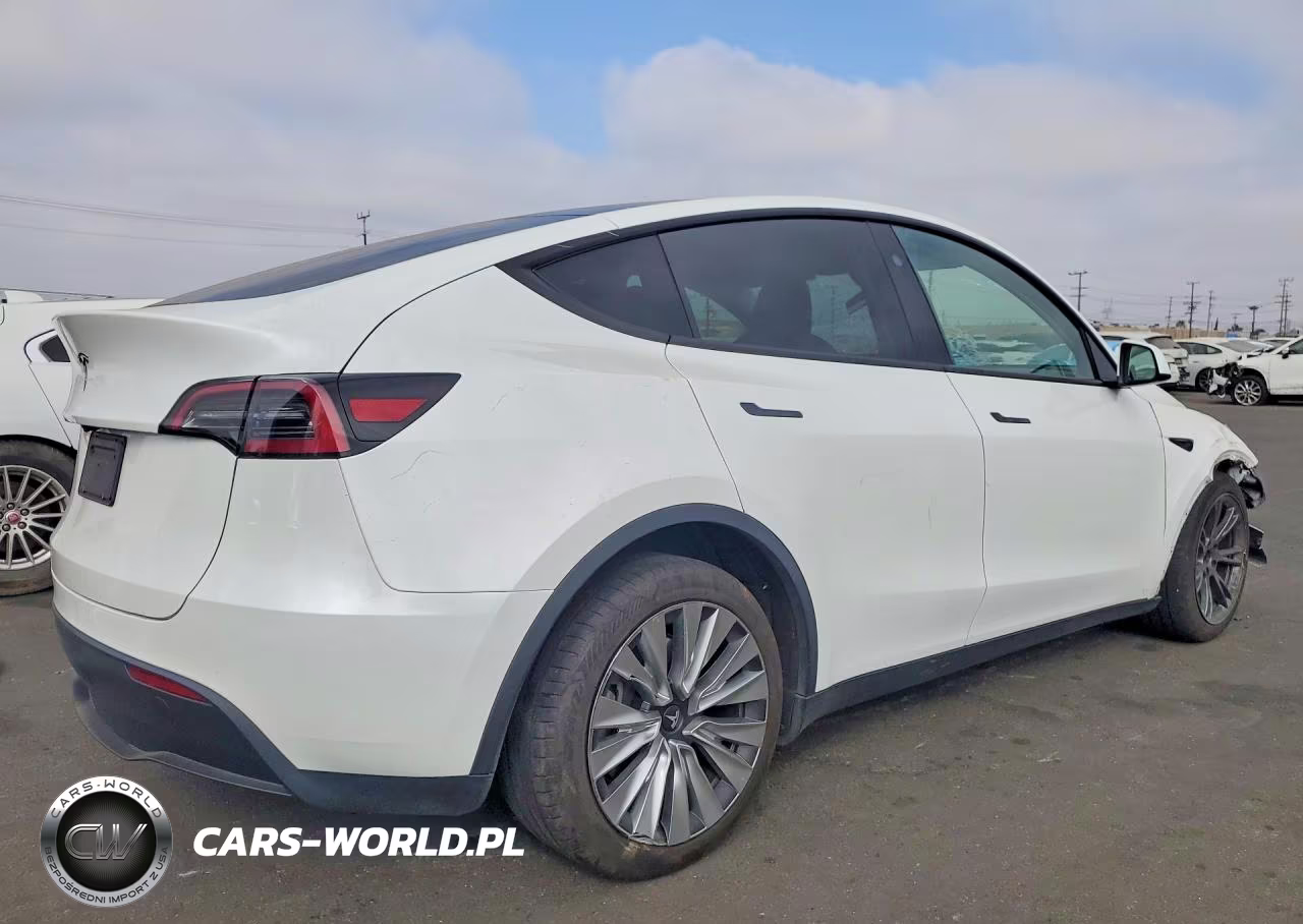 2025 Tesla Model Y VIN:7SAYGDED6SF277714 - 3