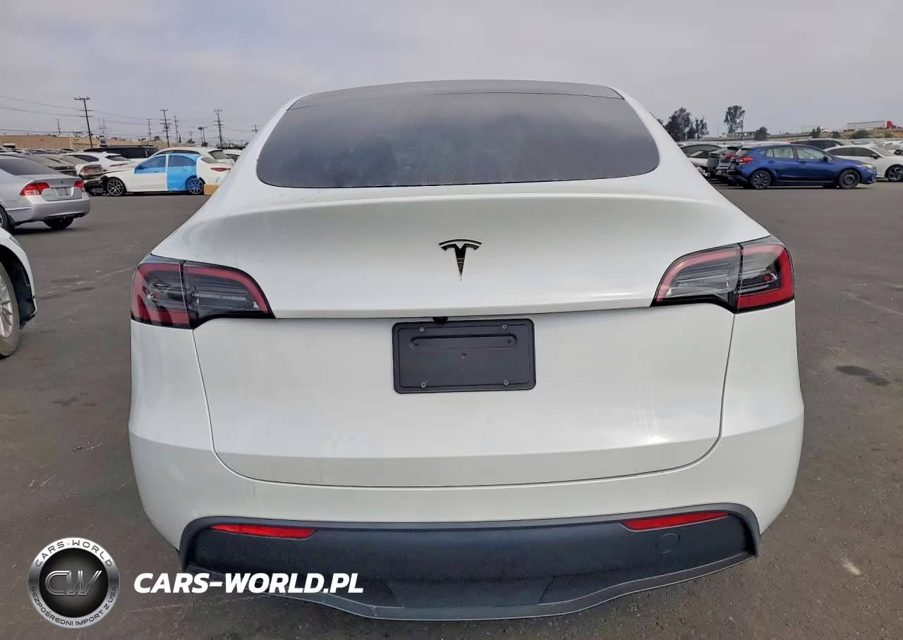 2025 Tesla Model Y VIN:7SAYGDED6SF277714 - 6