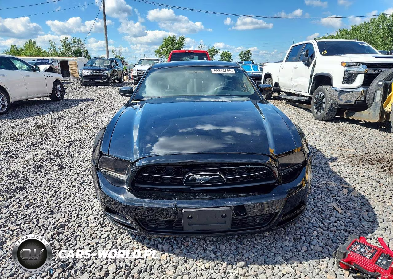 2014 Ford Mustang VIN:1ZVBP8AM8E5333980 - 5