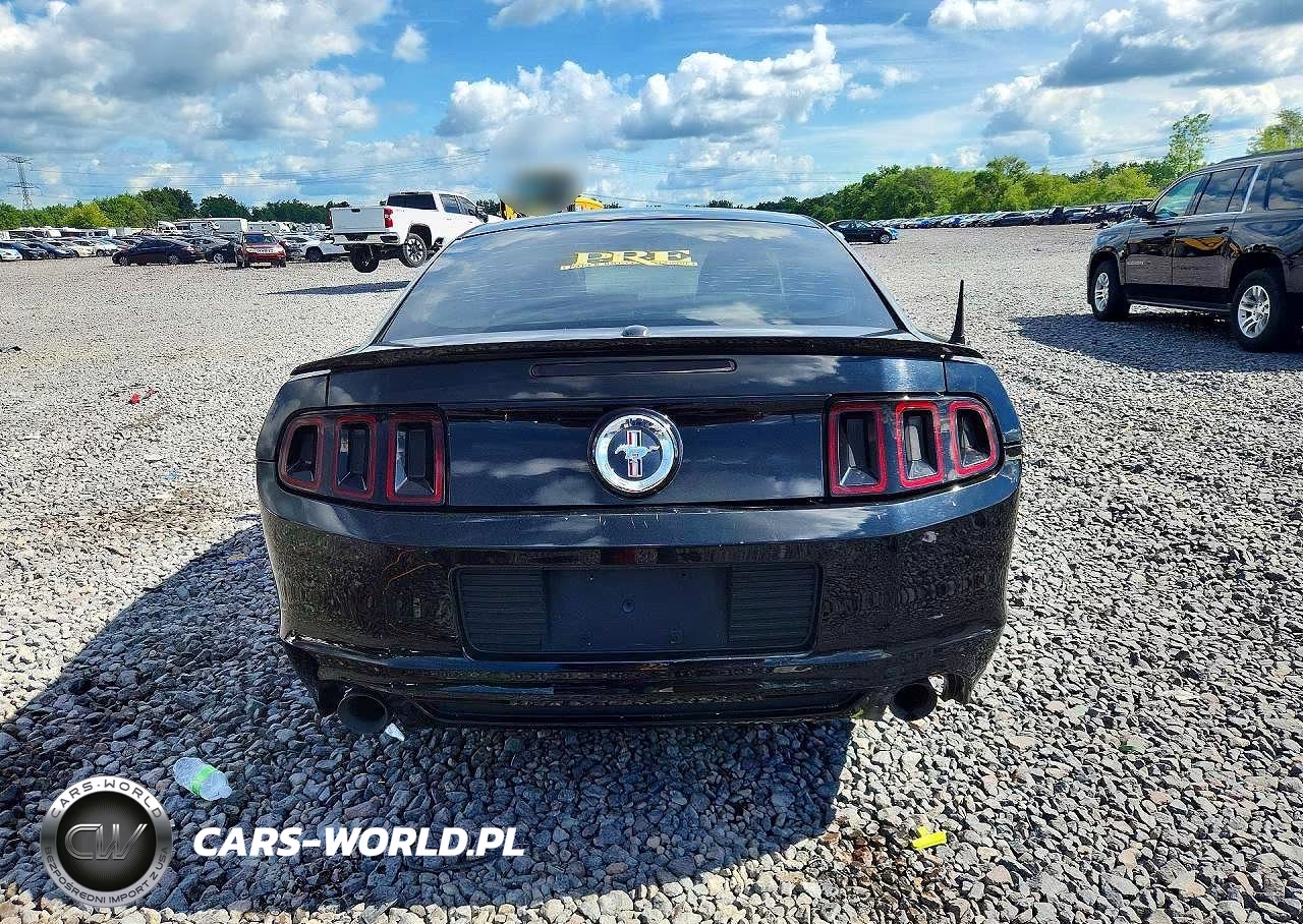 2014 Ford Mustang VIN:1ZVBP8AM8E5333980 - 6