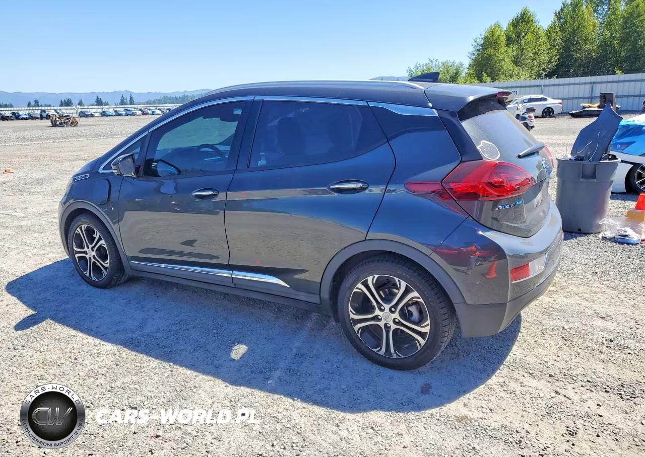 2019 Chevrolet Bolt Ev Premier VIN:1G1FZ6S01K4114951 - 2