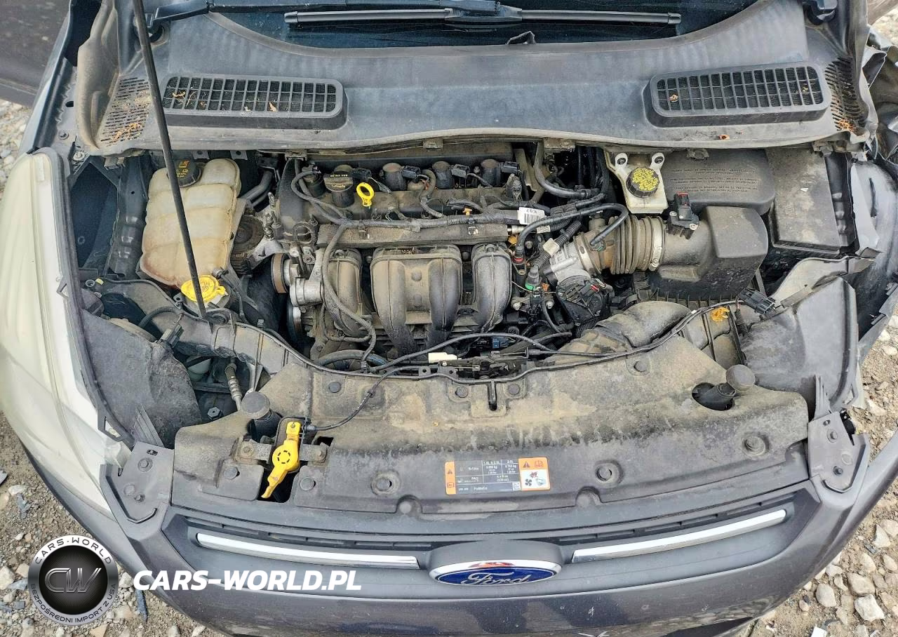 2015 Ford Escape Se VIN:1FMCU0G74FUB94002 - 11