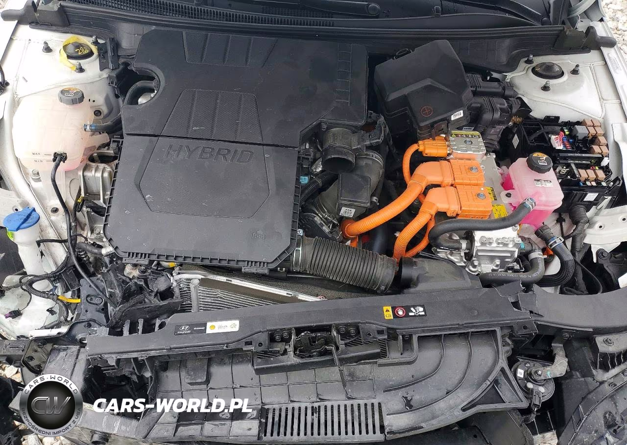 2024 Hyundai Elantra Limited VIN:KMHLN4DJ6RU104261 - 11