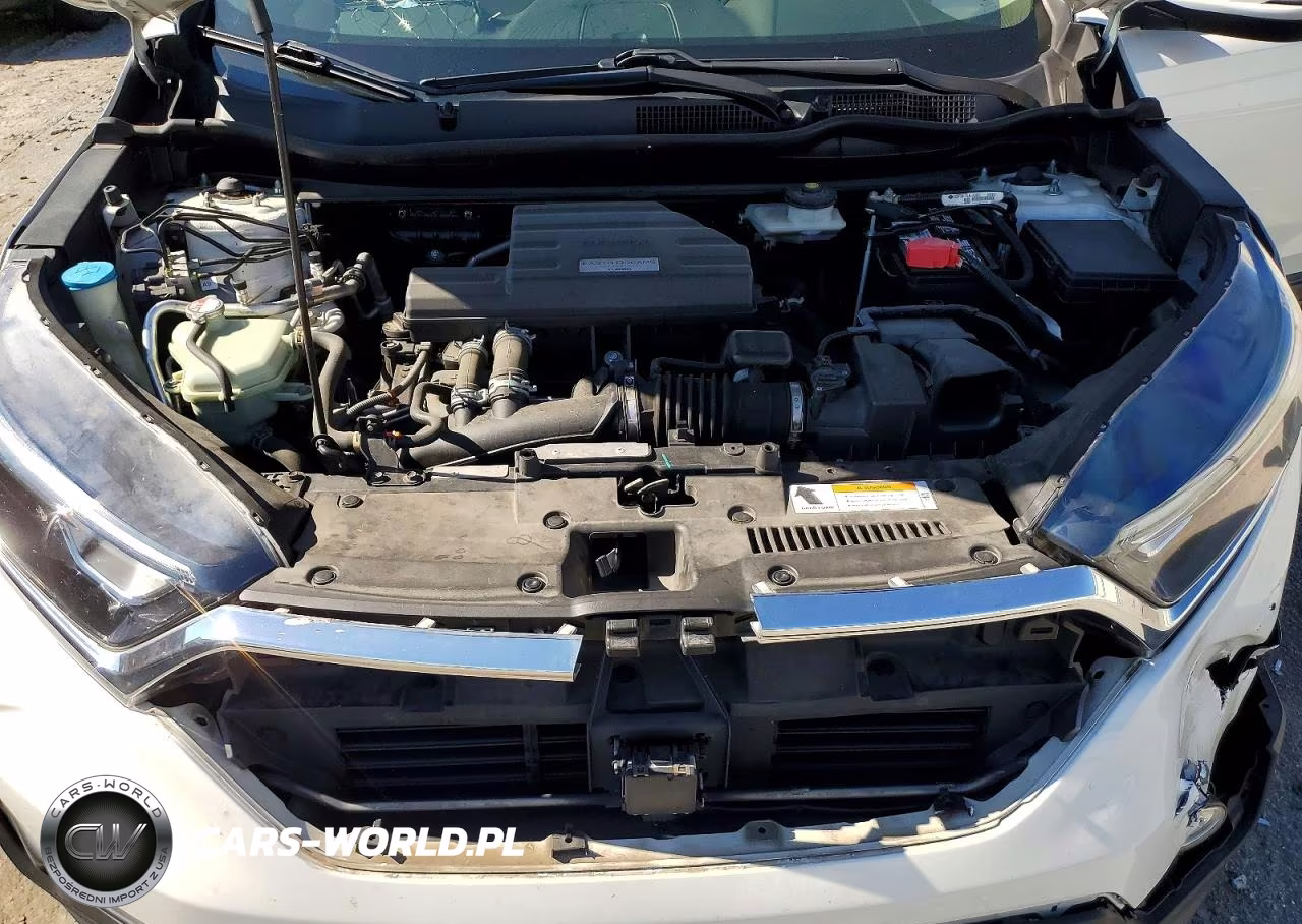 2019 Honda Cr-V Exl VIN:JHLRW2H85KX001542 - 12