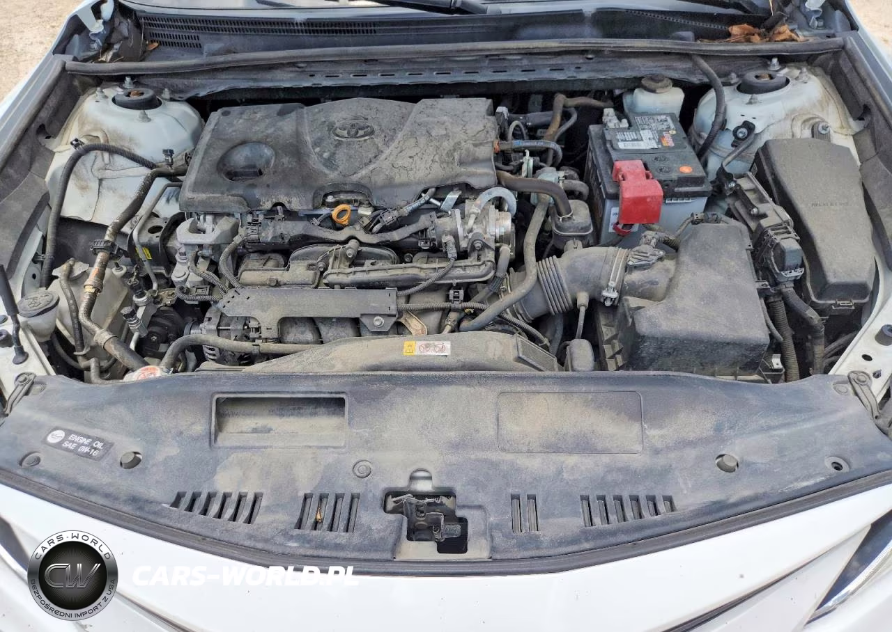2021 Toyota Camry Le VIN:4T1C11AK9MU492134 - 11