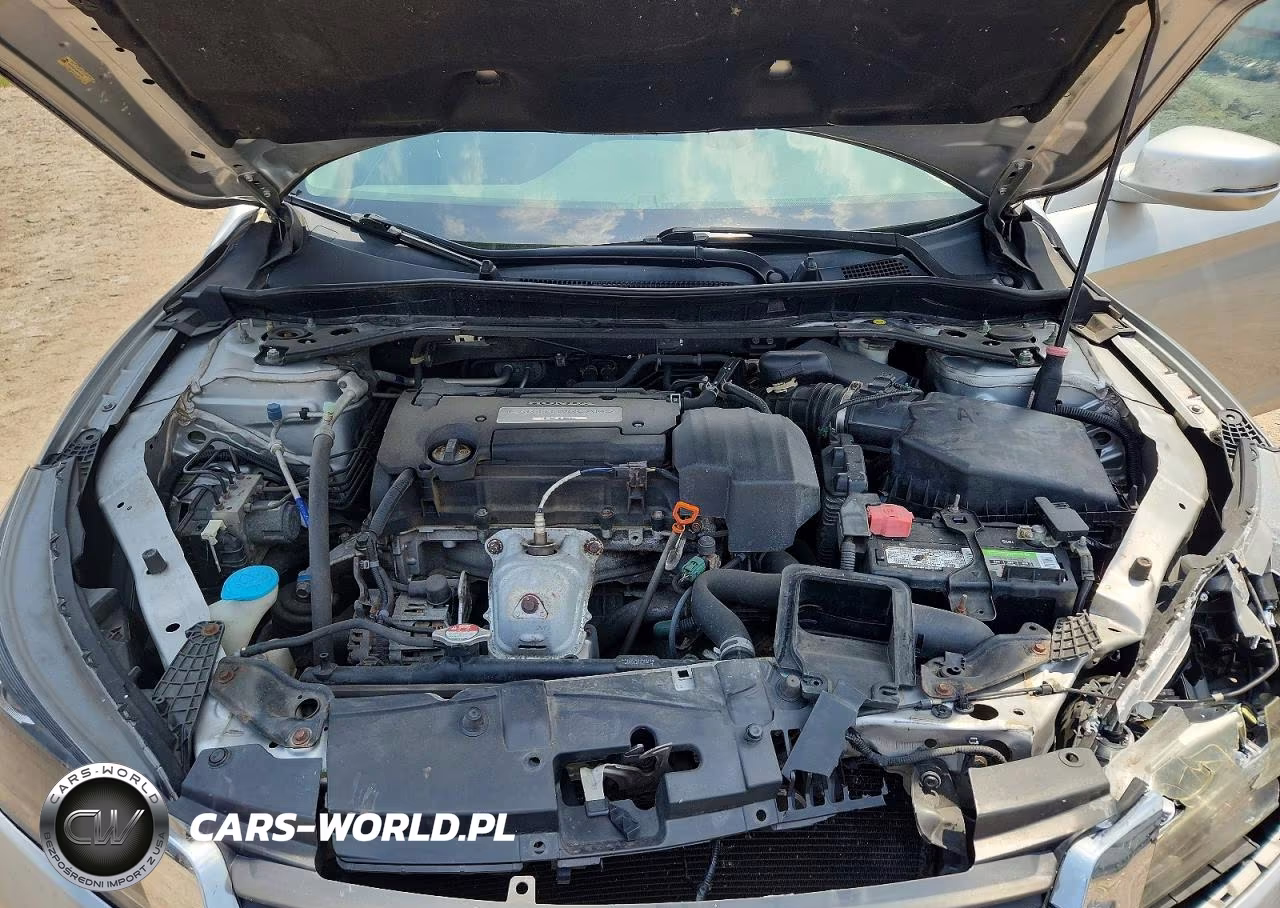 2013 Honda Accord Ex VIN:1HGCR2F71DA194526 - 11