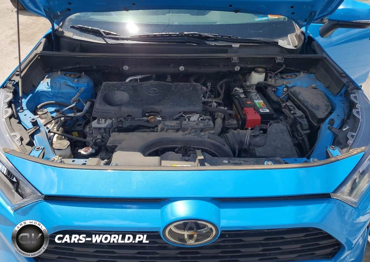2019 Toyota Rav4 Le VIN:2T3G1RFV3KW024293 - 11