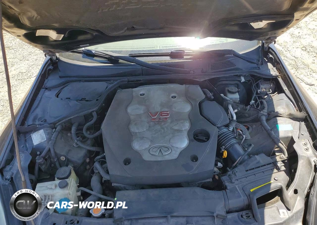 2004 Infiniti G35 Base VIN:JNKCV54E84M300934 - 11