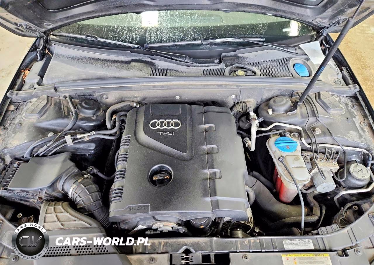 2011 Audi A4 Premium Plus VIN:WAUFFAFL4BN018780 - 11