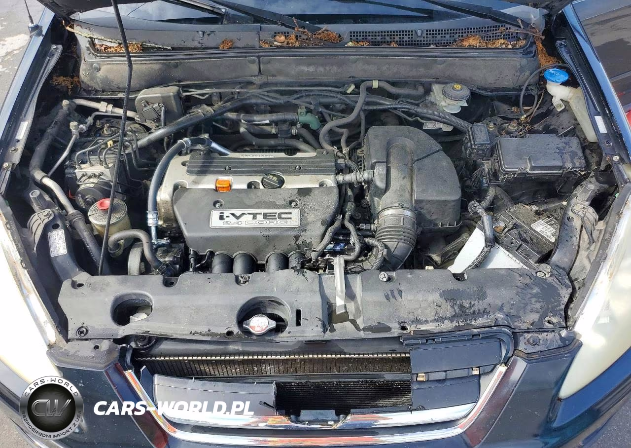 2005 Honda Cr-V Se VIN:SHSRD78975U311031 - 12