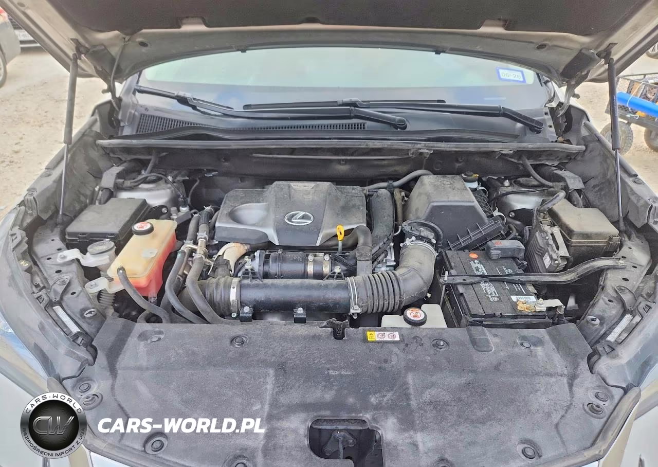 2020 Lexus Nx 300 VIN:JTJGARBZ6L5004084 - 12