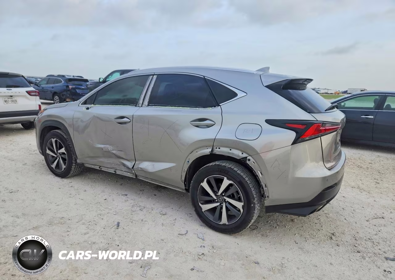 2020 Lexus Nx 300 VIN:JTJGARBZ6L5004084 - 2