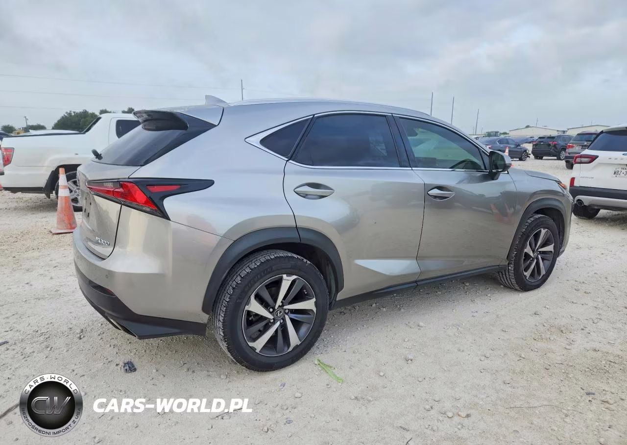 2020 Lexus Nx 300 VIN:JTJGARBZ6L5004084 - 3