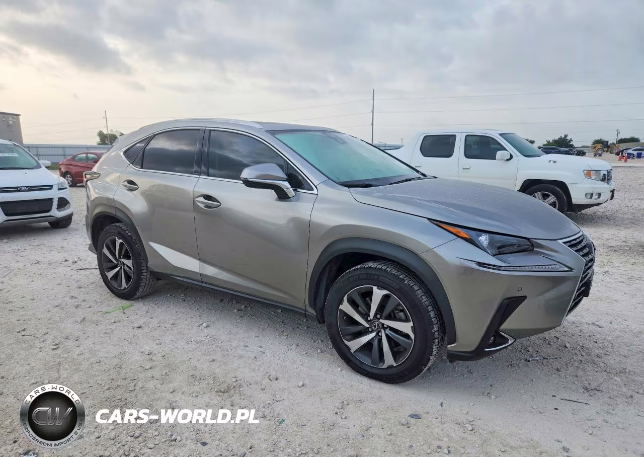 2020 Lexus Nx 300 VIN:JTJGARBZ6L5004084 - 4