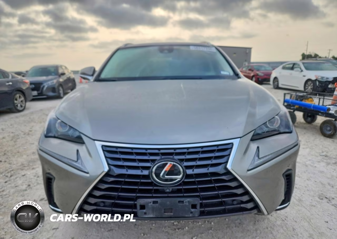 2020 Lexus Nx 300 VIN:JTJGARBZ6L5004084 - 5