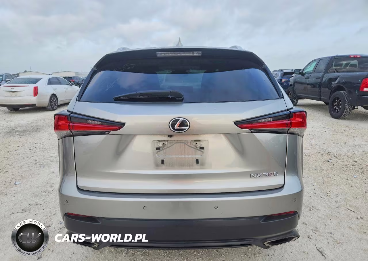 2020 Lexus Nx 300 VIN:JTJGARBZ6L5004084 - 6