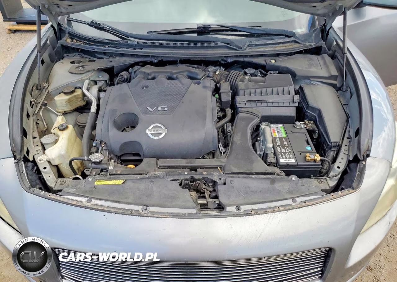 2009 Nissan Maxima 3.5 S VIN:1N4AA51E69C833103 - 11