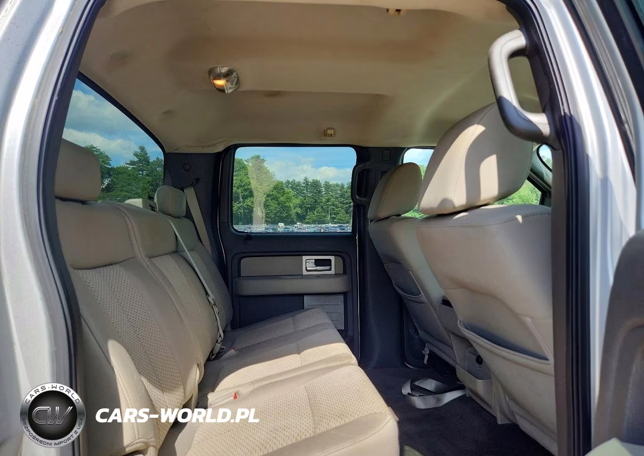 2009 Ford F150 Supercrew VIN:1FTRW14899FA23170 - 10