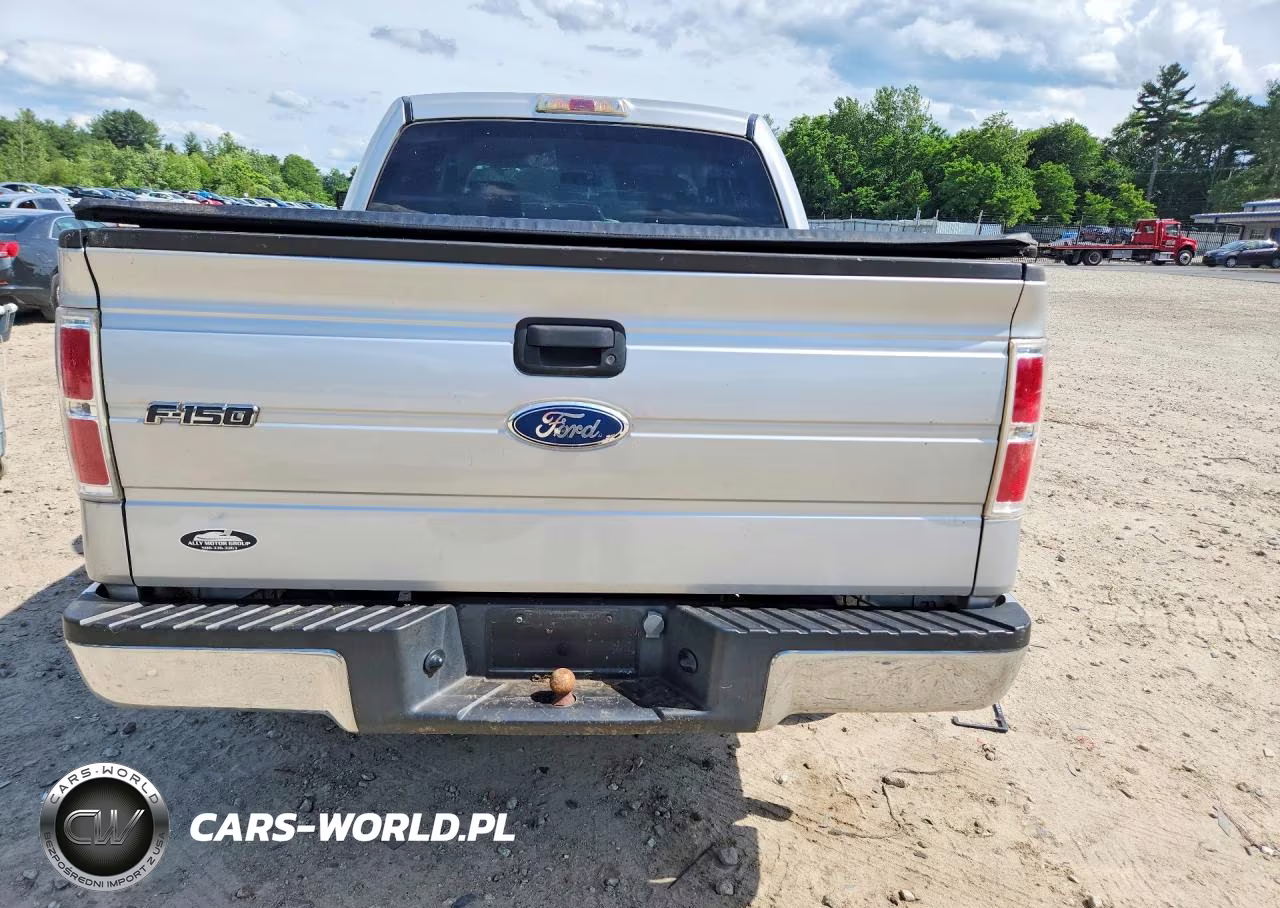 2009 Ford F150 Supercrew VIN:1FTRW14899FA23170 - 6