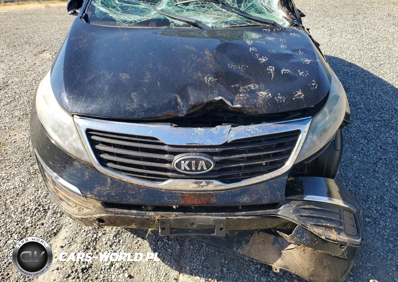 2011 Kia Sportage Lx VIN:KNDPBCA28B7099719 - 11