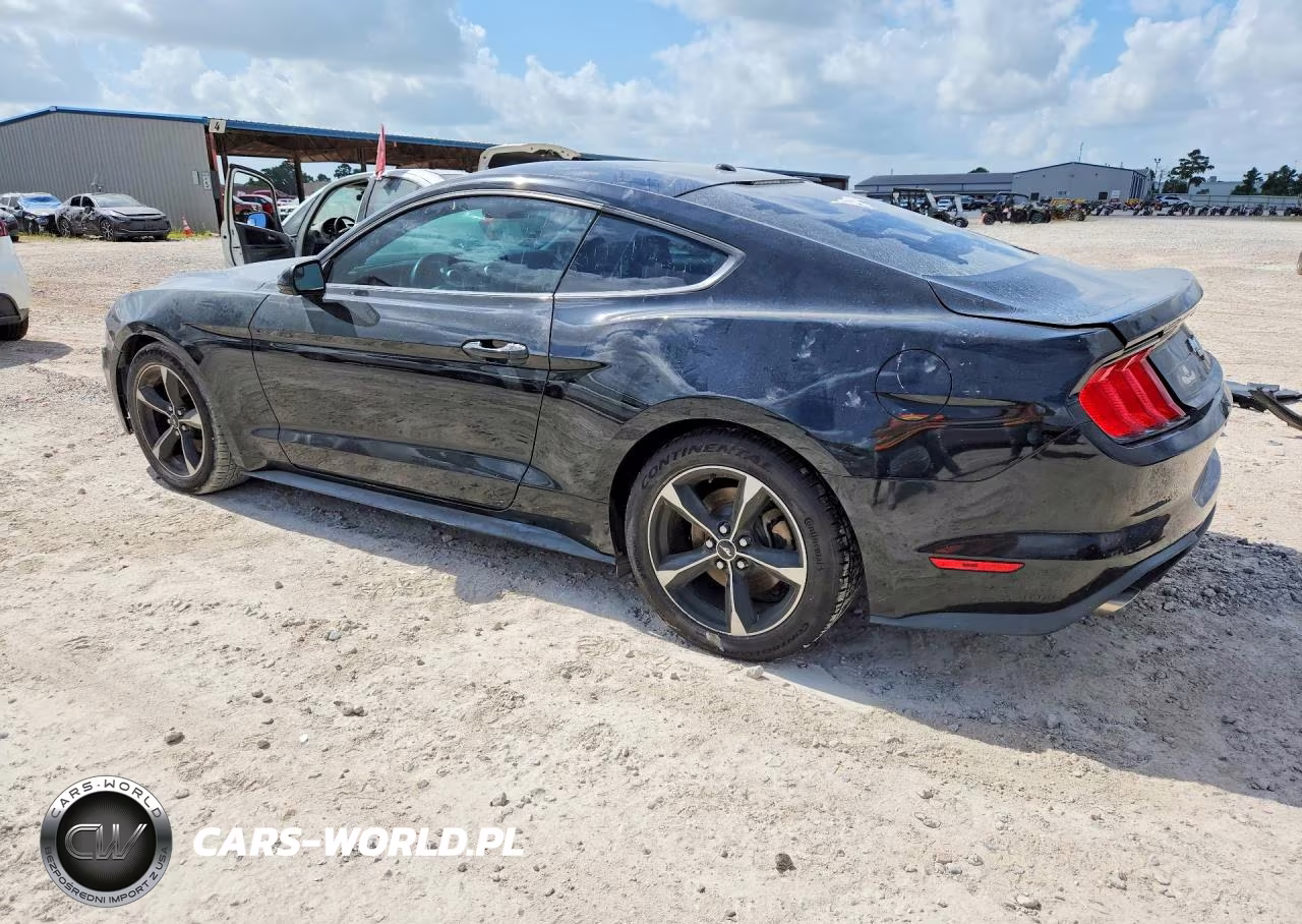 2019 Ford Mustang VIN:1FA6P8TH1K5118270 - 2
