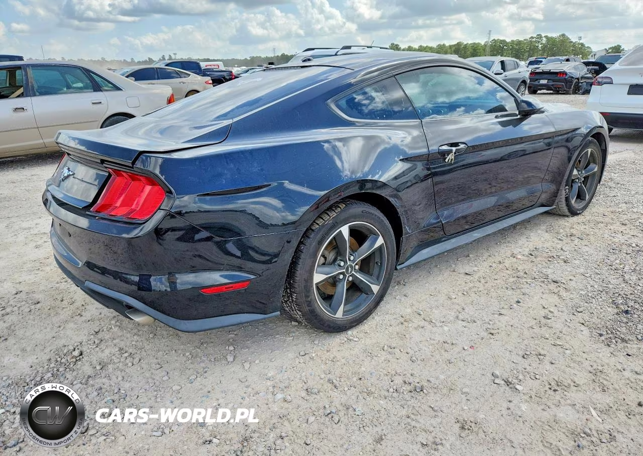 2019 Ford Mustang VIN:1FA6P8TH1K5118270 - 3