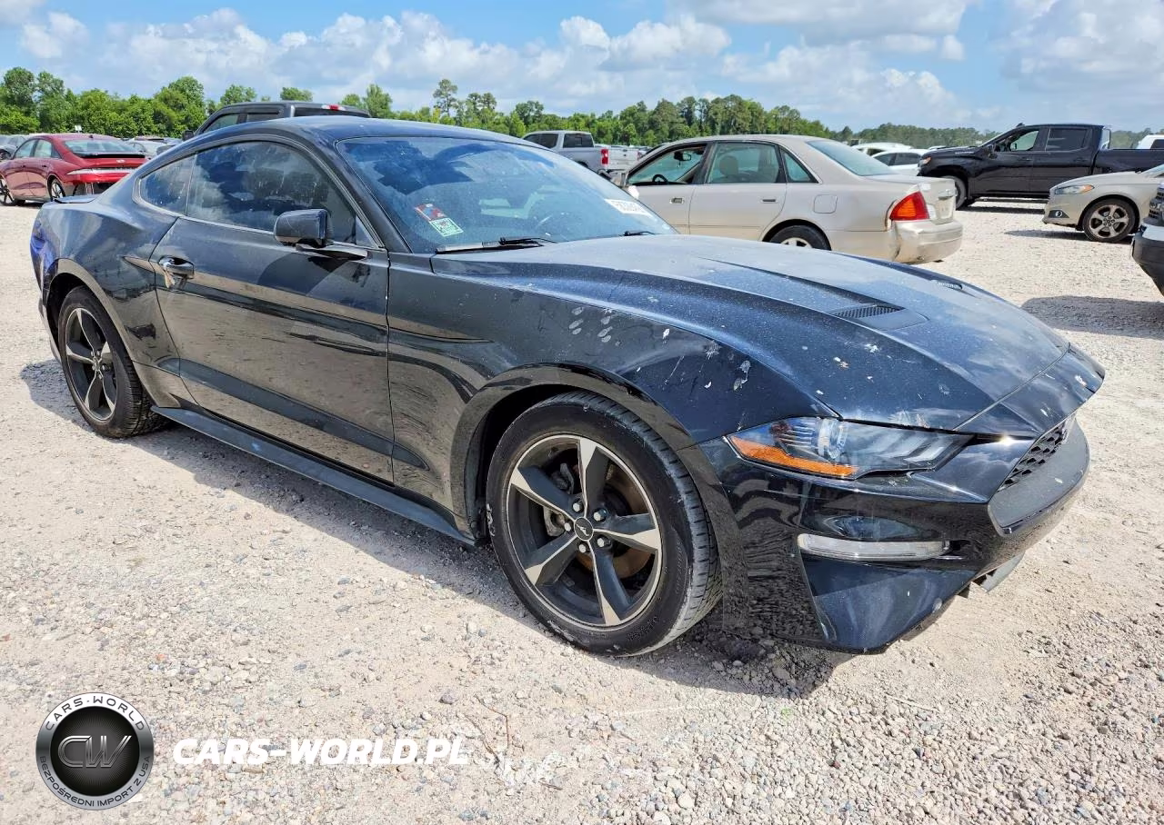 2019 Ford Mustang VIN:1FA6P8TH1K5118270 - 4