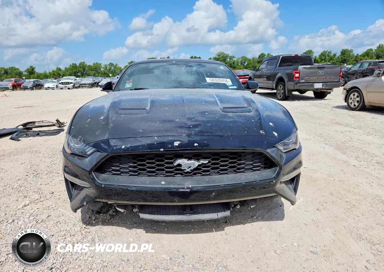 2019 Ford Mustang VIN:1FA6P8TH1K5118270 - 5