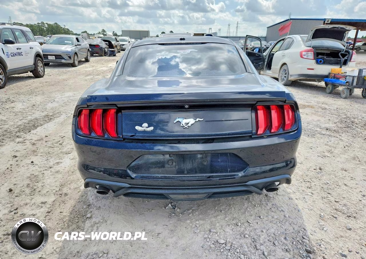 2019 Ford Mustang VIN:1FA6P8TH1K5118270 - 6