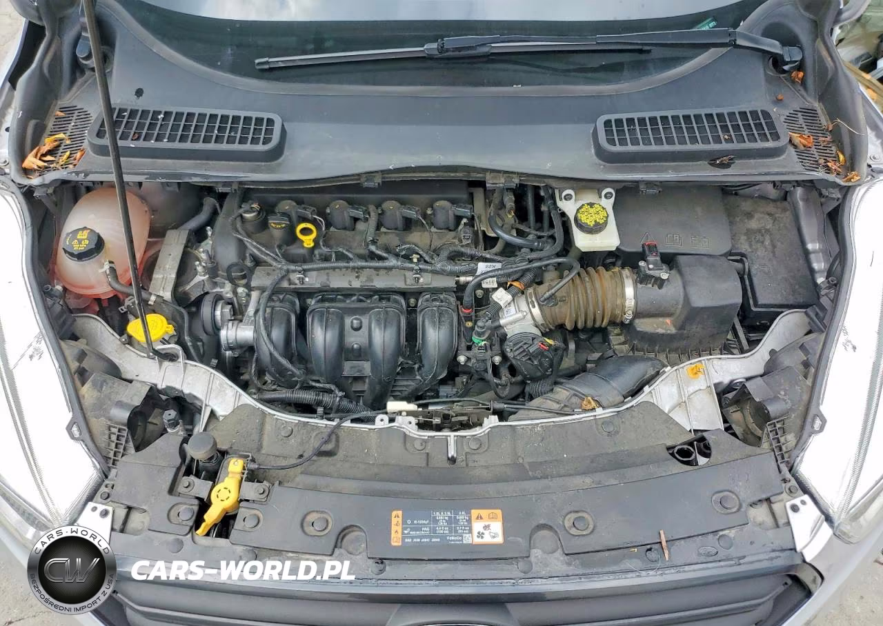 2017 Ford Escape S VIN:1FMCU0F74HUB37819 - 12