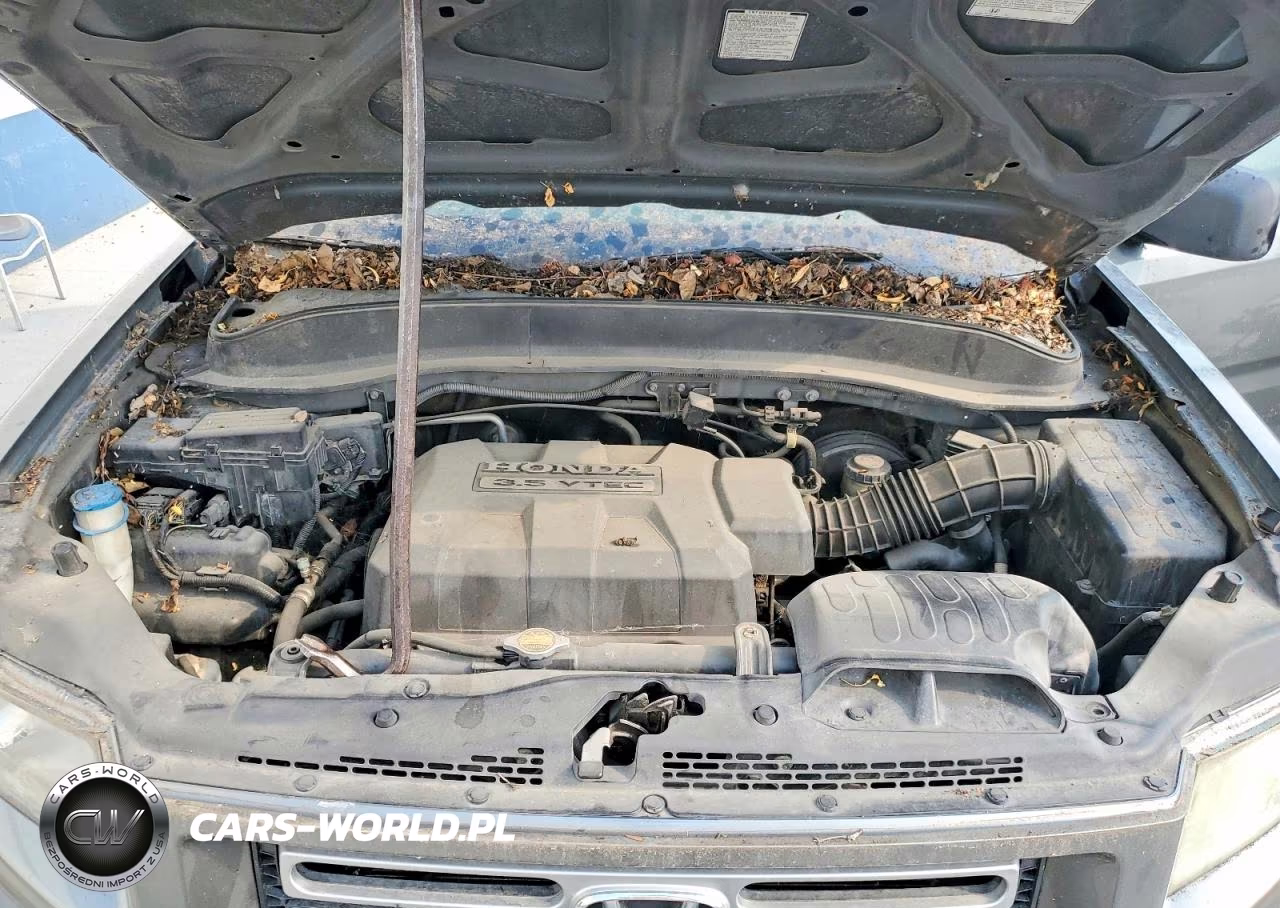 2007 Honda Ridgeline Rtl VIN:2HJYK16597H503324 - 11
