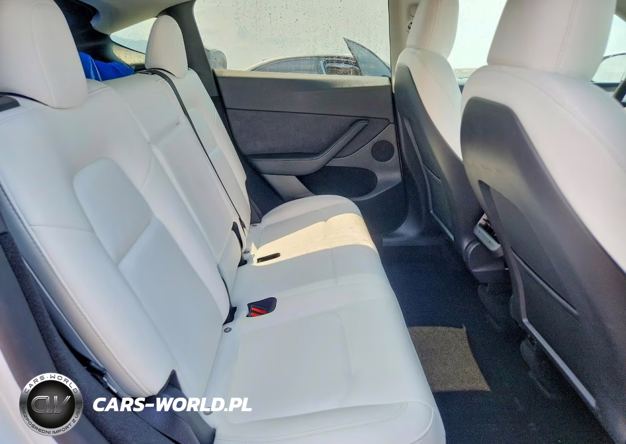 2023 Tesla Model Y VIN:7SAYGDEF9PF812690 - 10