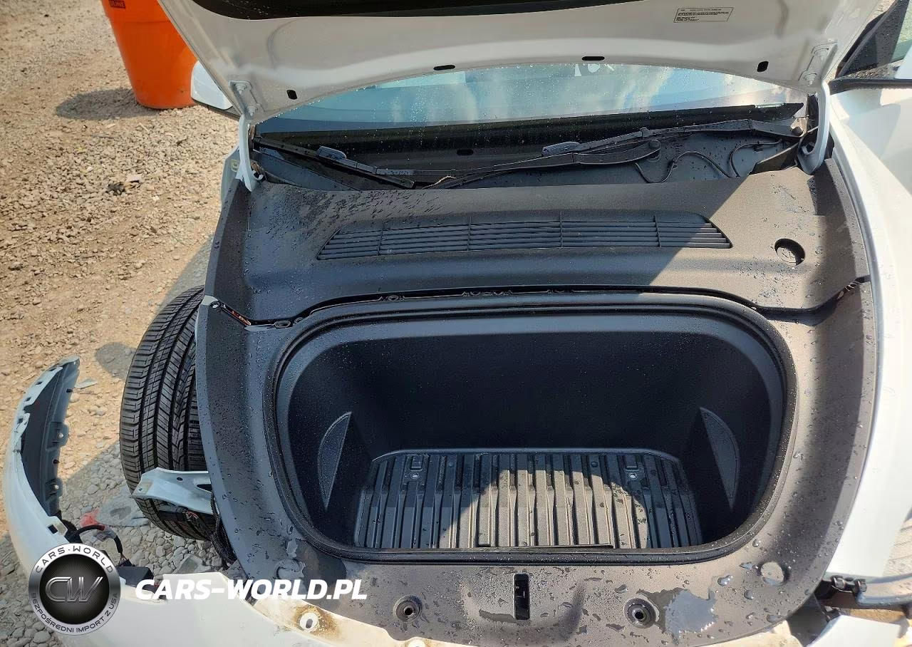 2023 Tesla Model Y VIN:7SAYGDEF9PF812690 - 11