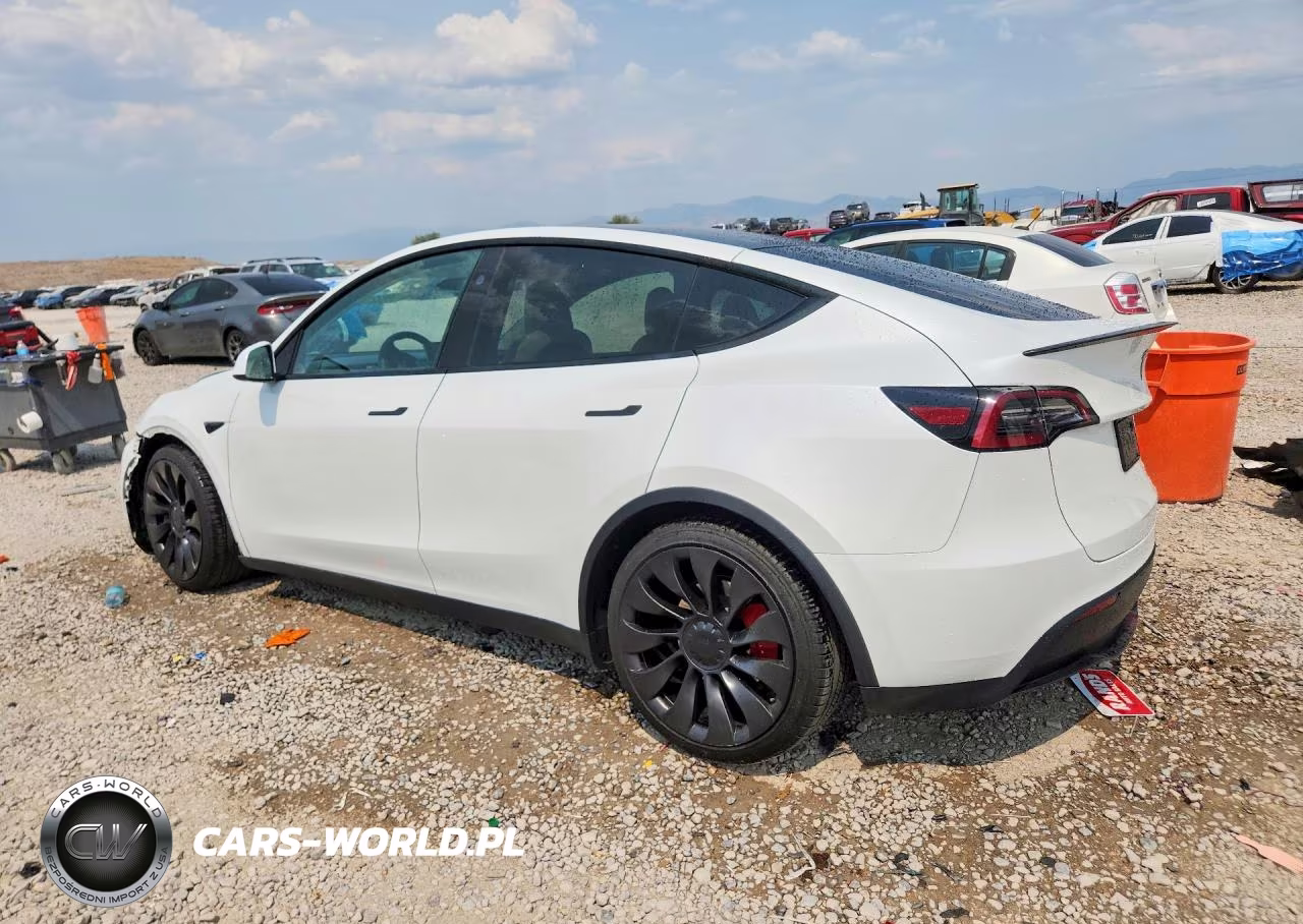 2023 Tesla Model Y VIN:7SAYGDEF9PF812690 - 2