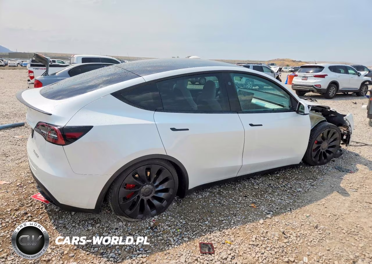2023 Tesla Model Y VIN:7SAYGDEF9PF812690 - 3