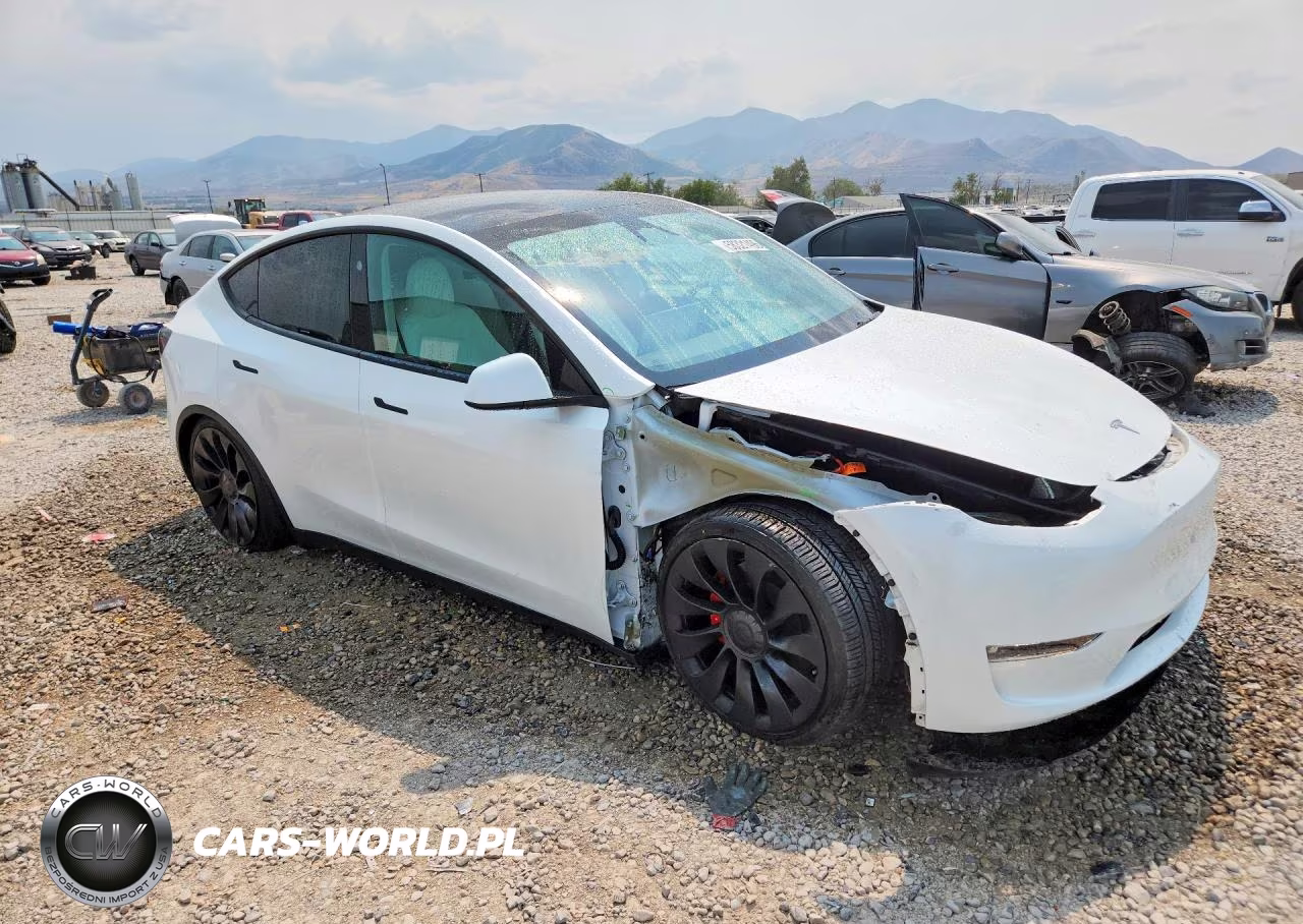 2023 Tesla Model Y VIN:7SAYGDEF9PF812690 - 4