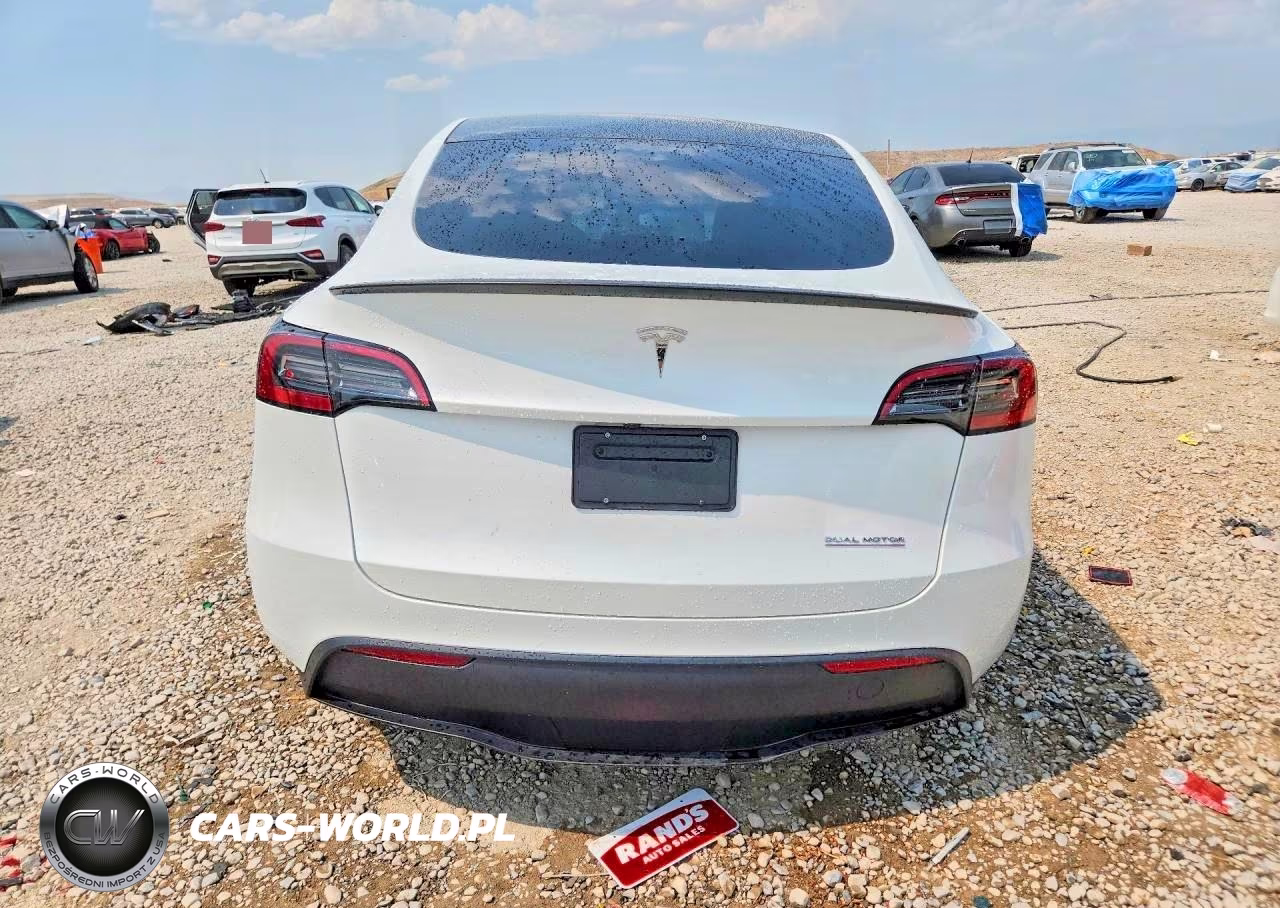 2023 Tesla Model Y VIN:7SAYGDEF9PF812690 - 6