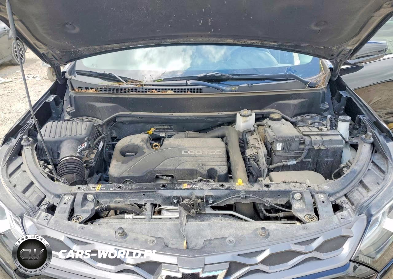 2019 Chevrolet Equinox Lt VIN:3GNAXKEV8KL401146 - 12