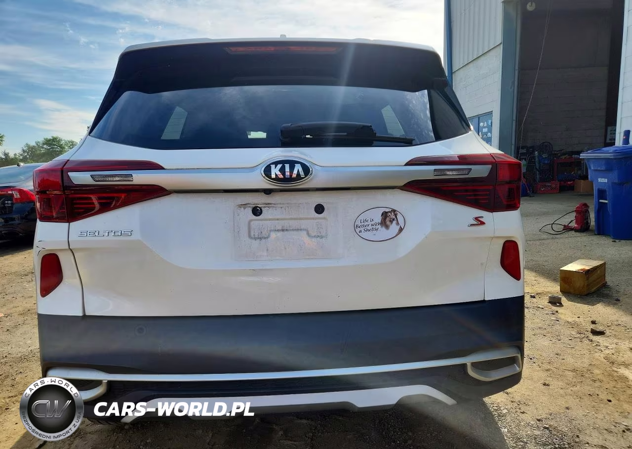 2021 Kia Seltos S VIN:KNDEUCAA9M7176819 - 6