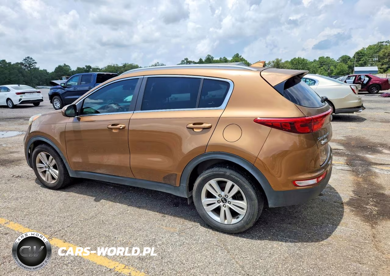 2017 Kia Sportage Lx VIN:KNDPM3AC2H7078974 - 2