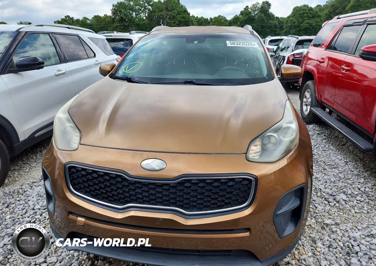 2017 Kia Sportage Lx VIN:KNDPM3AC2H7078974 - 5