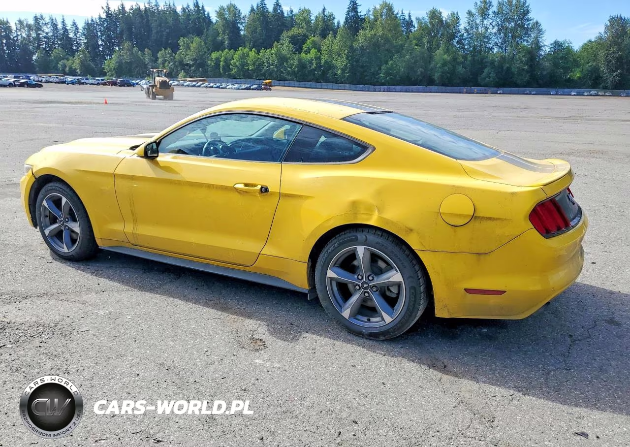 2017 Ford Mustang VIN:1FA6P8TH2H5296181 - 2