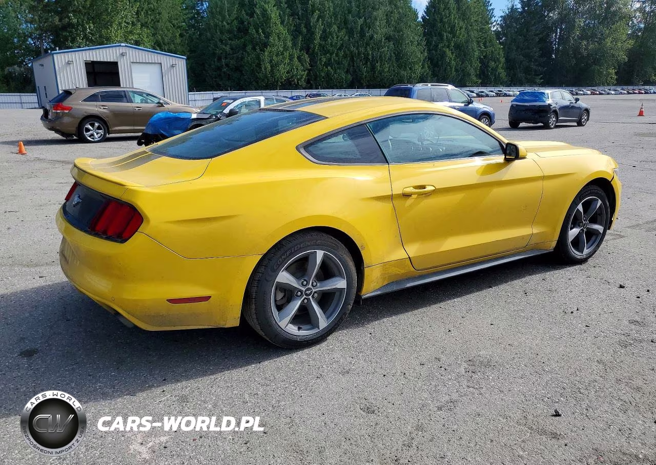 2017 Ford Mustang VIN:1FA6P8TH2H5296181 - 3