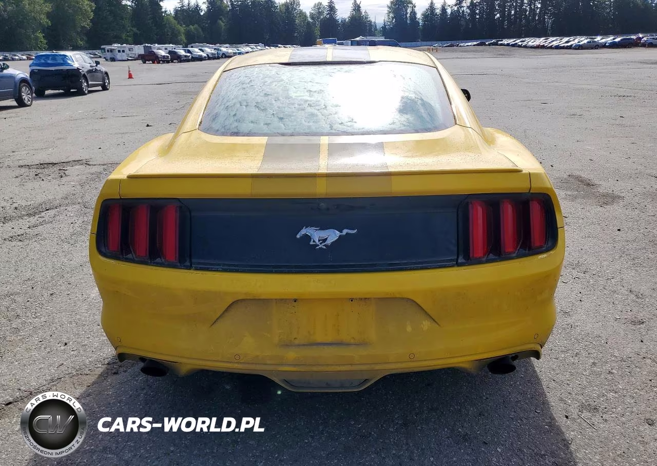 2017 Ford Mustang VIN:1FA6P8TH2H5296181 - 6