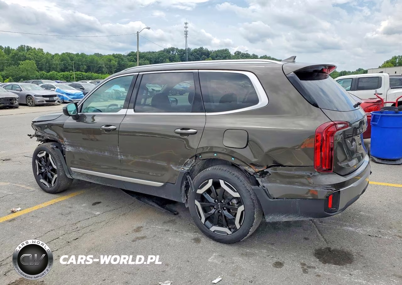 2025 Kia Telluride S VIN:5XYP6DGCXSG693032 - 2