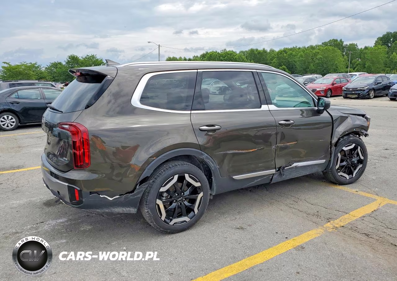 2025 Kia Telluride S VIN:5XYP6DGCXSG693032 - 3