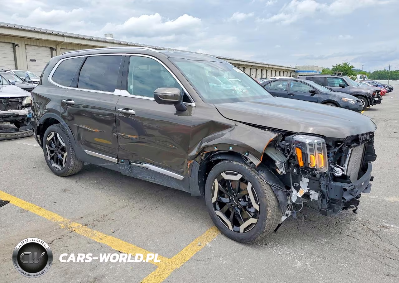 2025 Kia Telluride S VIN:5XYP6DGCXSG693032 - 4