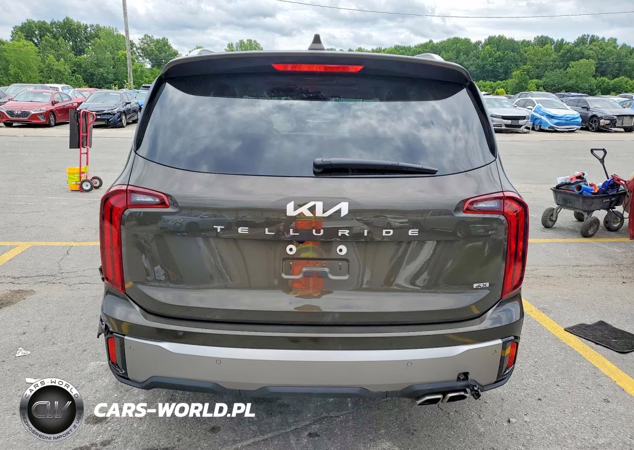 2025 Kia Telluride S VIN:5XYP6DGCXSG693032 - 6